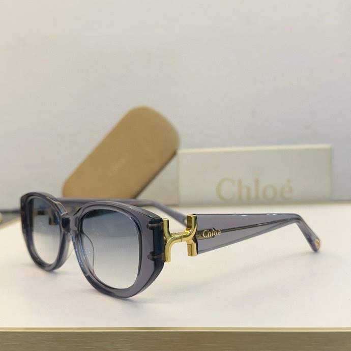 Picture of Chloe Sunglasses _SKUfw60701803fw